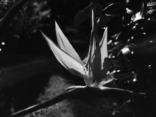 IMG_20161001_101510