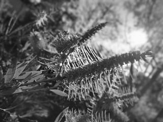 IMG_20161001_101040