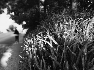 IMG_20161001_100428