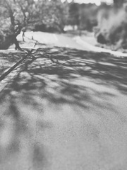 IMG_20161001_101000