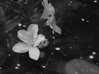 IMG_20161016_230054