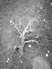 IMG_20161016_230250