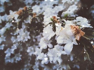 IMG_20161016_202613