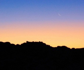 Moon