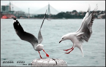 你来我往