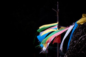 DSC_6153-1.jpg