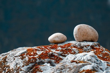 DSC_6152-1.jpg