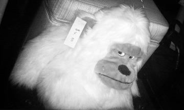 IMAG0341-2.jpg