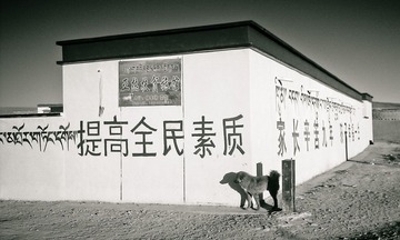IMAG0324.jpg