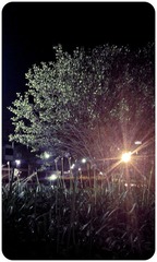 IMAG0402.jpg