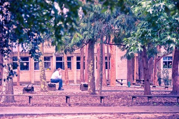 DSC_8915.jpg