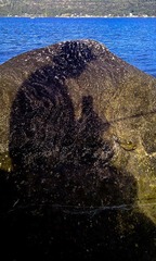 20120225-IMAG0488_S.jpg
