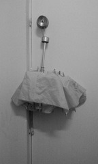 20120414-IMAG0588.jpg