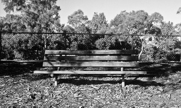 20120429-IMAG0637.jpg