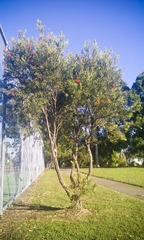 20120429-IMAG0636.jpg