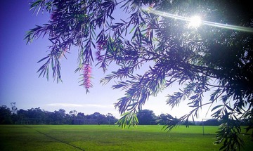 20120429-IMAG0642.jpg