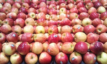 20120528-IMAG0720.jpg