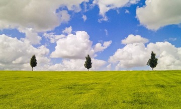 20120325-IMAG0520-编辑_S.jpg