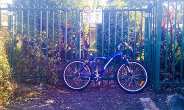 20120326-IMAG0523.jpg