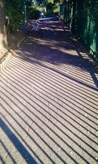 20120326-IMAG0525.jpg