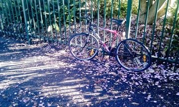 20120326-IMAG0526.jpg