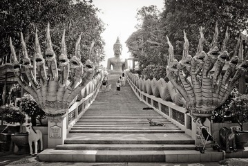 卡机里的Pattaya