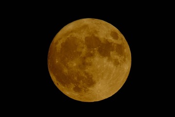 128829D6-3493-444C-9C90-626C59B002F1/L0/001