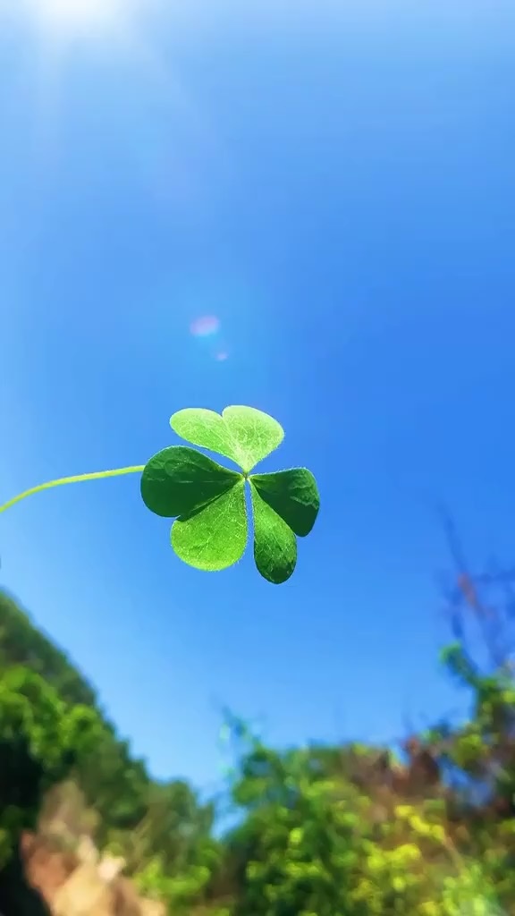 烟火里的尘埃是啥