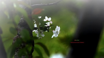 img_1080_conew1_