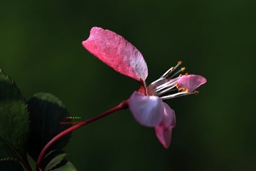 img_3830_