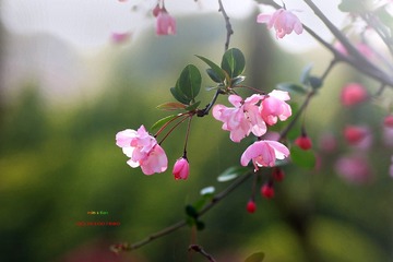 img_3940_