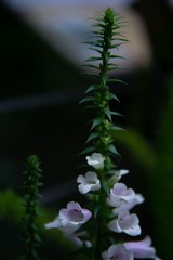 18005BC0-70C9-4C9F-B948-6BA6F7614D84/L0/001
