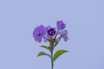 4BB5FFD0-DE1B-47CB-BB42-BFAE8C7A59F1/L0/001