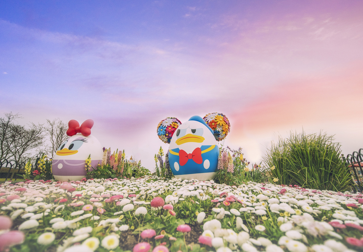 2019·上海迪士尼·缤纷春日 - _jcb_ - 图虫