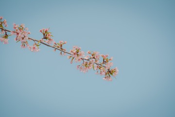16584