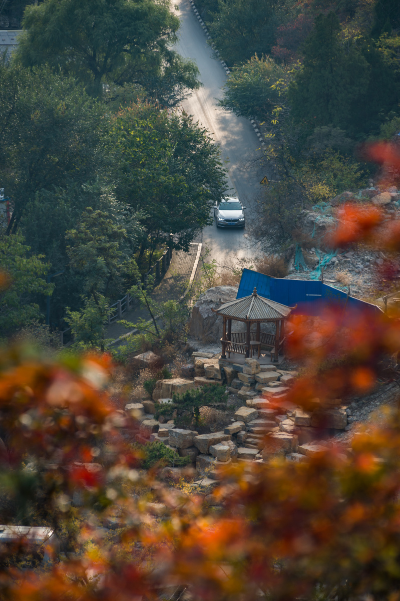 远赴人间惊鸿宴一睹秋色盛世颜2019年10月拍摄于博山姚家峪