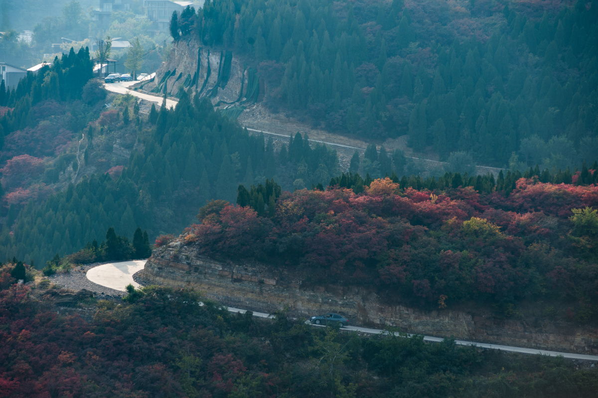 远赴人间惊鸿宴一睹秋色盛世颜2019年10月拍摄于博山姚家峪