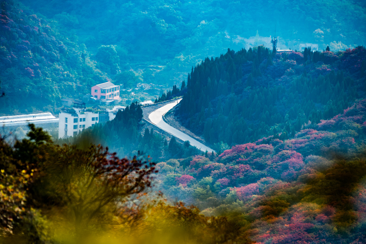 远赴人间惊鸿宴一睹秋色盛世颜2019年10月拍摄于博山姚家峪