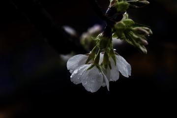 _DSC5809