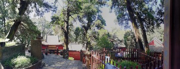 19550