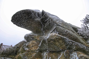 3385060