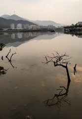 120106