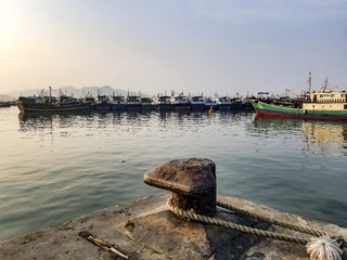 46591