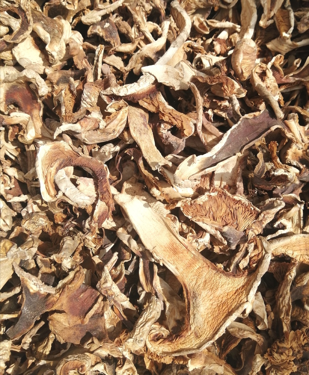 去年的干菌子我们这里加沙老包很香炒韭菜很好吃