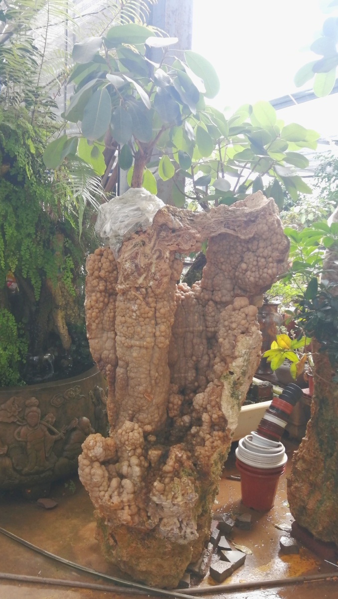 石山盆景1