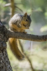 _dsc6620_32680123030_o