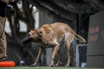 dsc03124_33325687402_o