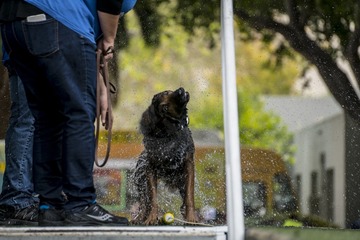dsc03144_32667502893_o