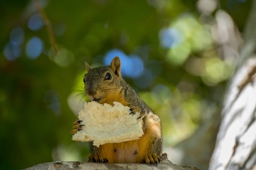 _dsc0573_32216558674_o
