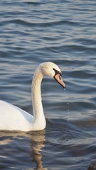 87DD6307-009B-489F-B8E4-B1E6384FD9EA/L0/001